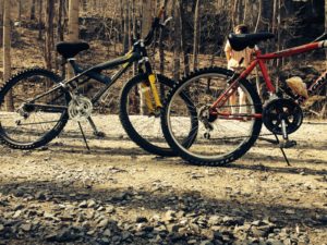 The bike trails are well maintained and easy to navigate.